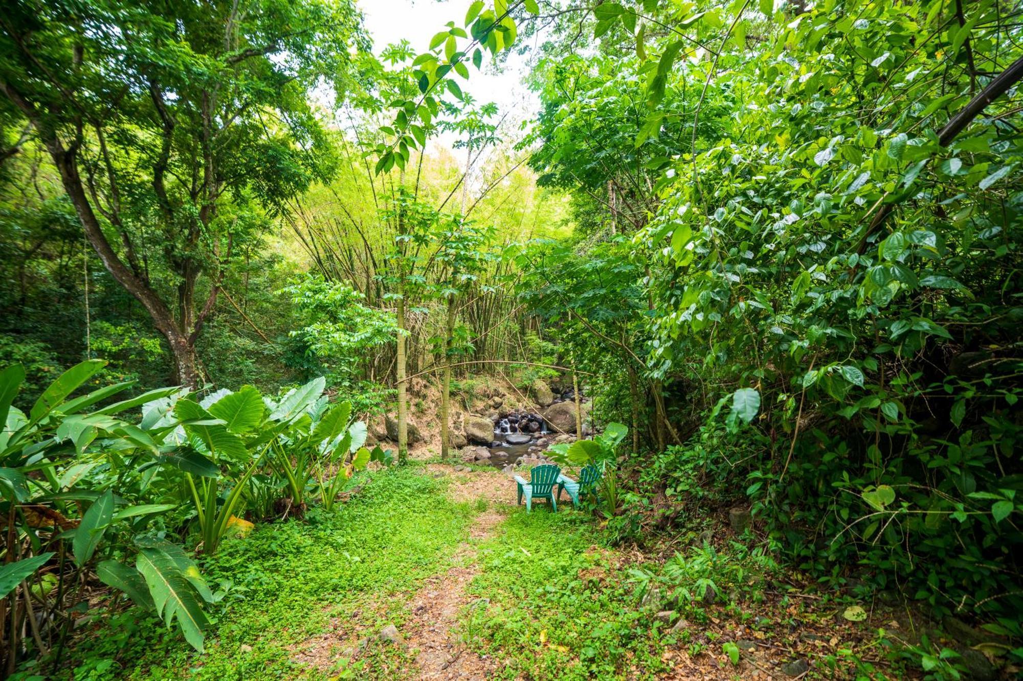 Martinique Treehouse Villa Canton Suisse Luaran gambar