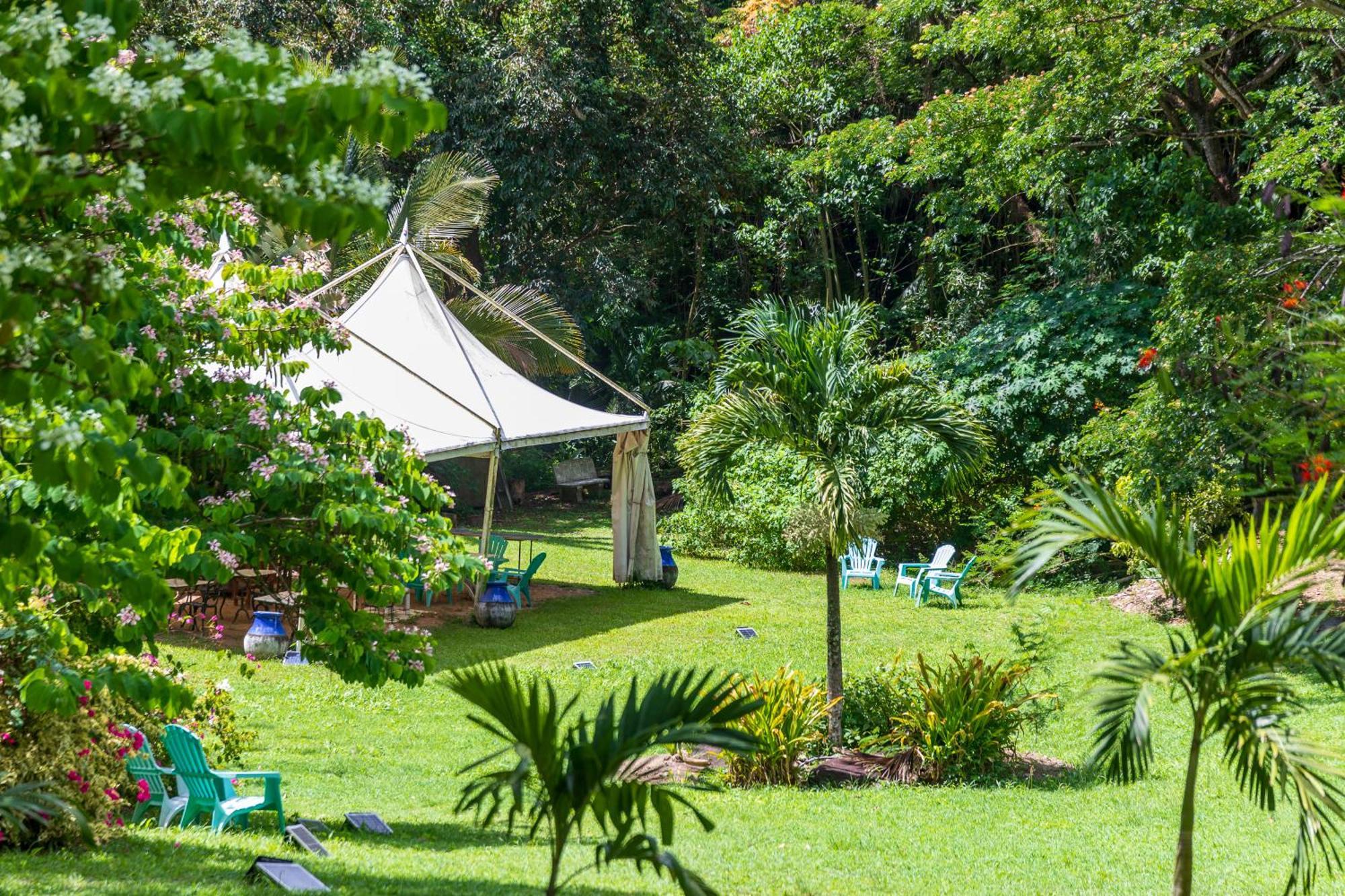 Martinique Treehouse Villa Canton Suisse Luaran gambar