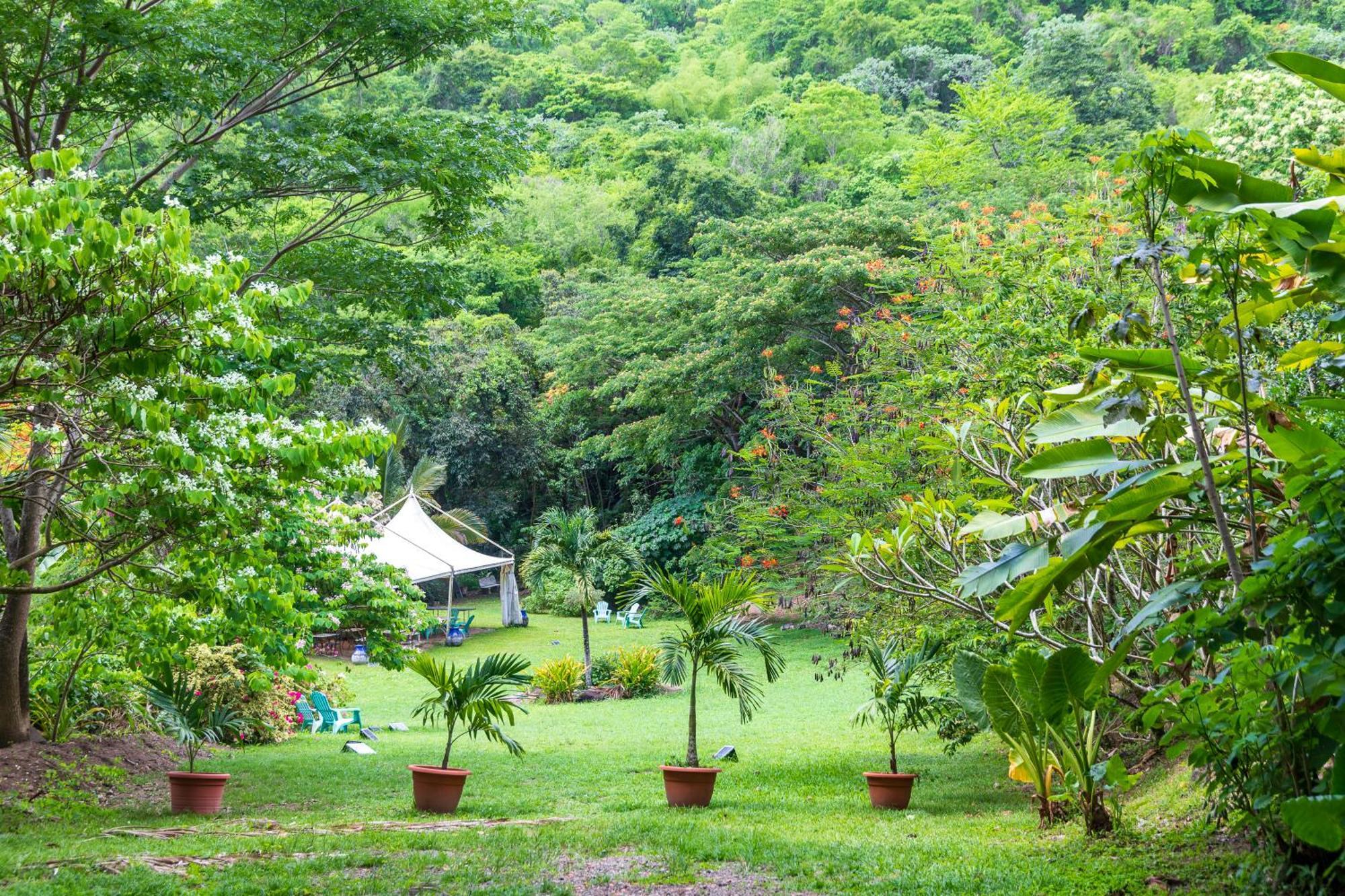 Martinique Treehouse Villa Canton Suisse Luaran gambar