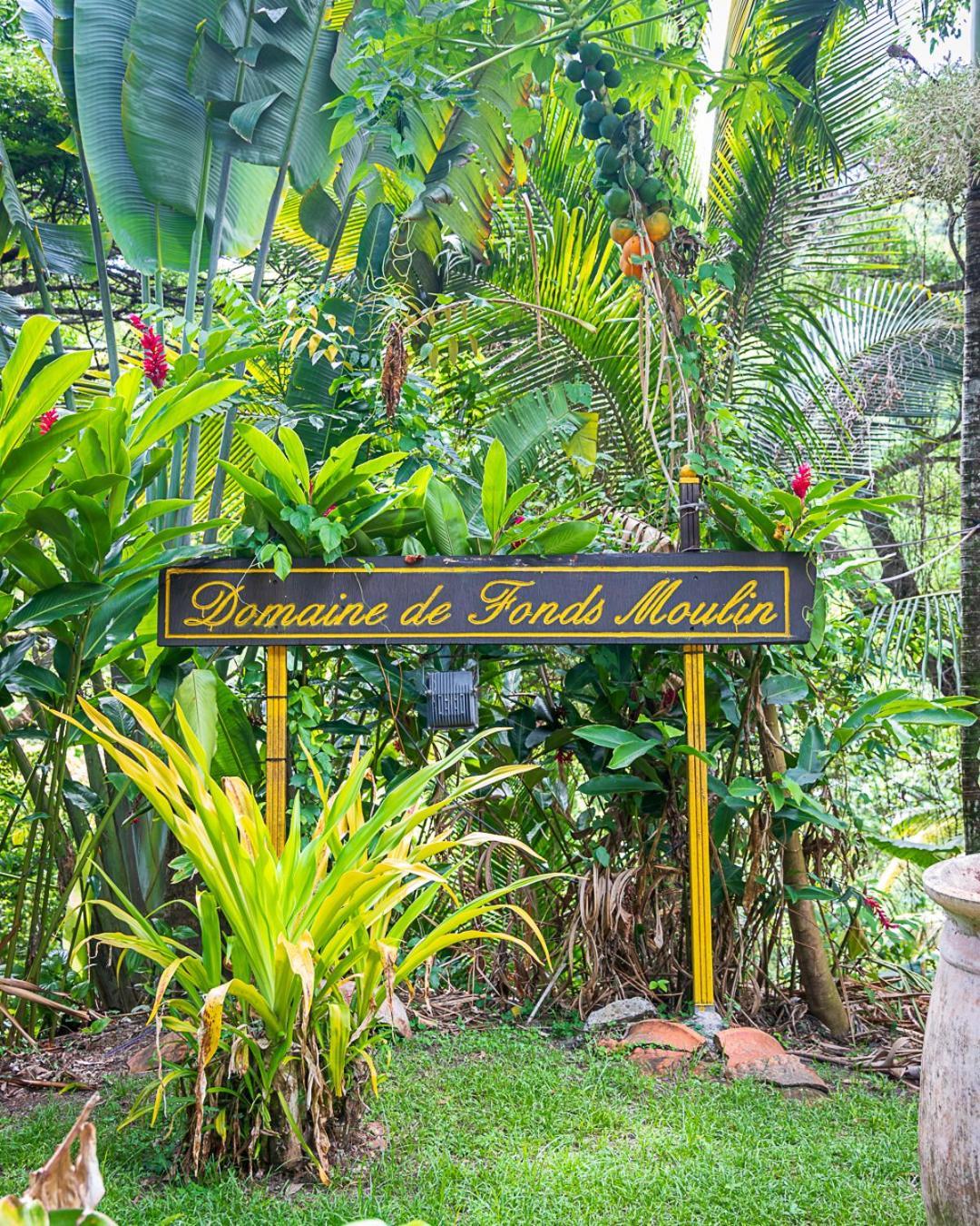Martinique Treehouse Villa Canton Suisse Luaran gambar
