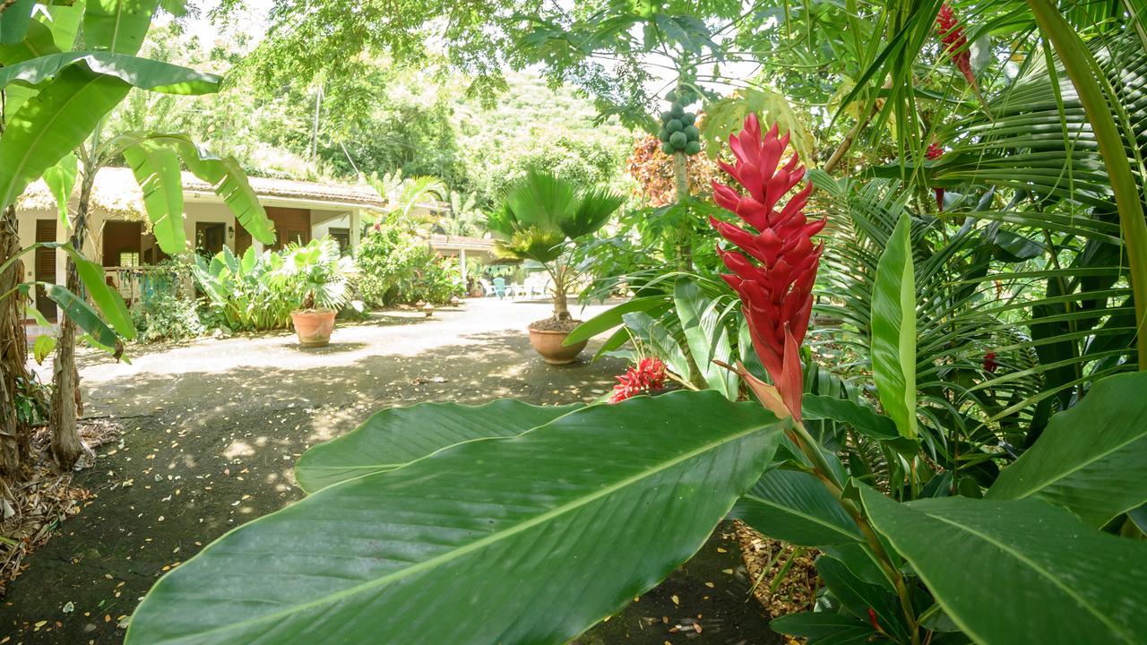 Martinique Treehouse Villa Canton Suisse Luaran gambar