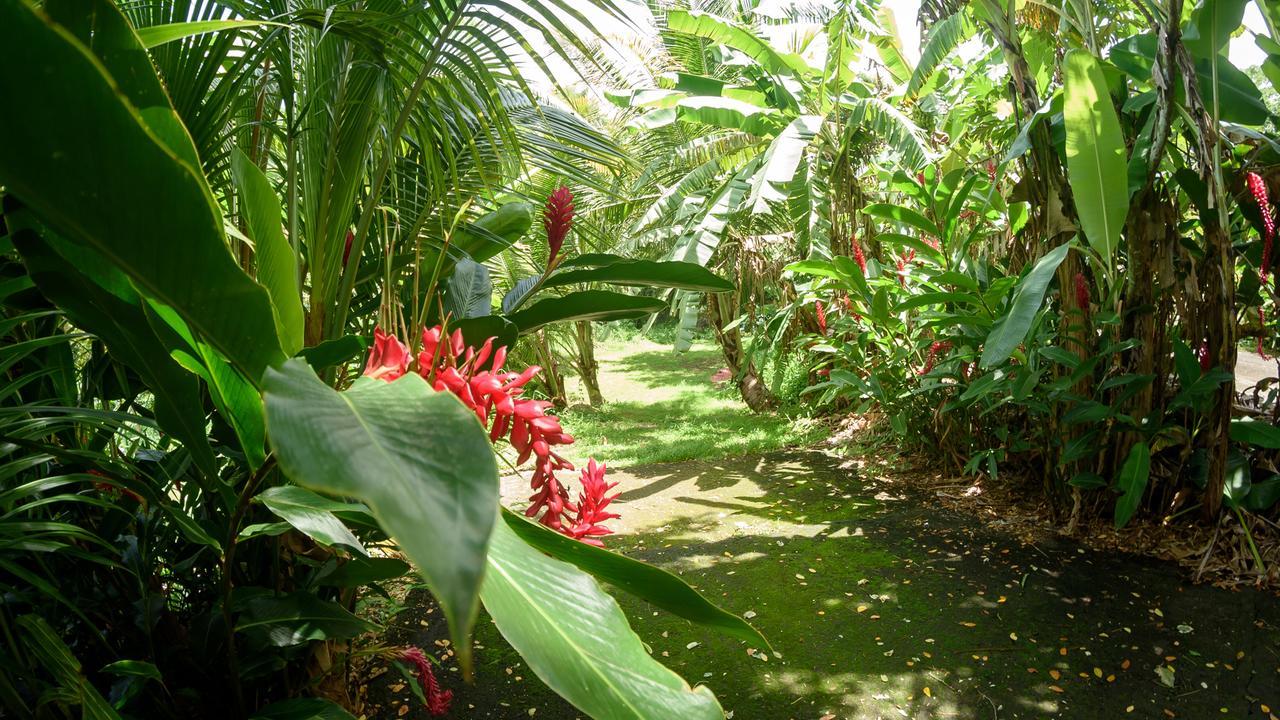 Martinique Treehouse Villa Canton Suisse Luaran gambar