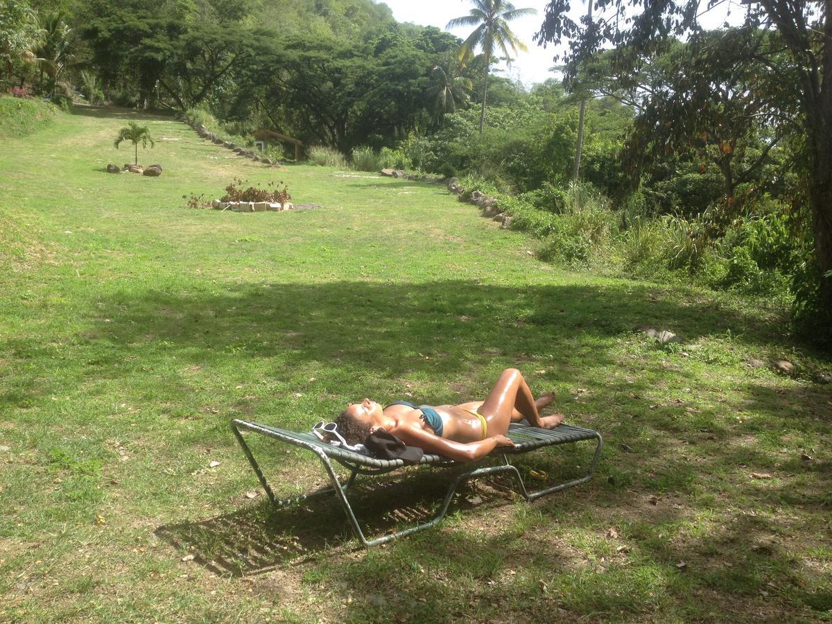 Martinique Treehouse Villa Canton Suisse Luaran gambar
