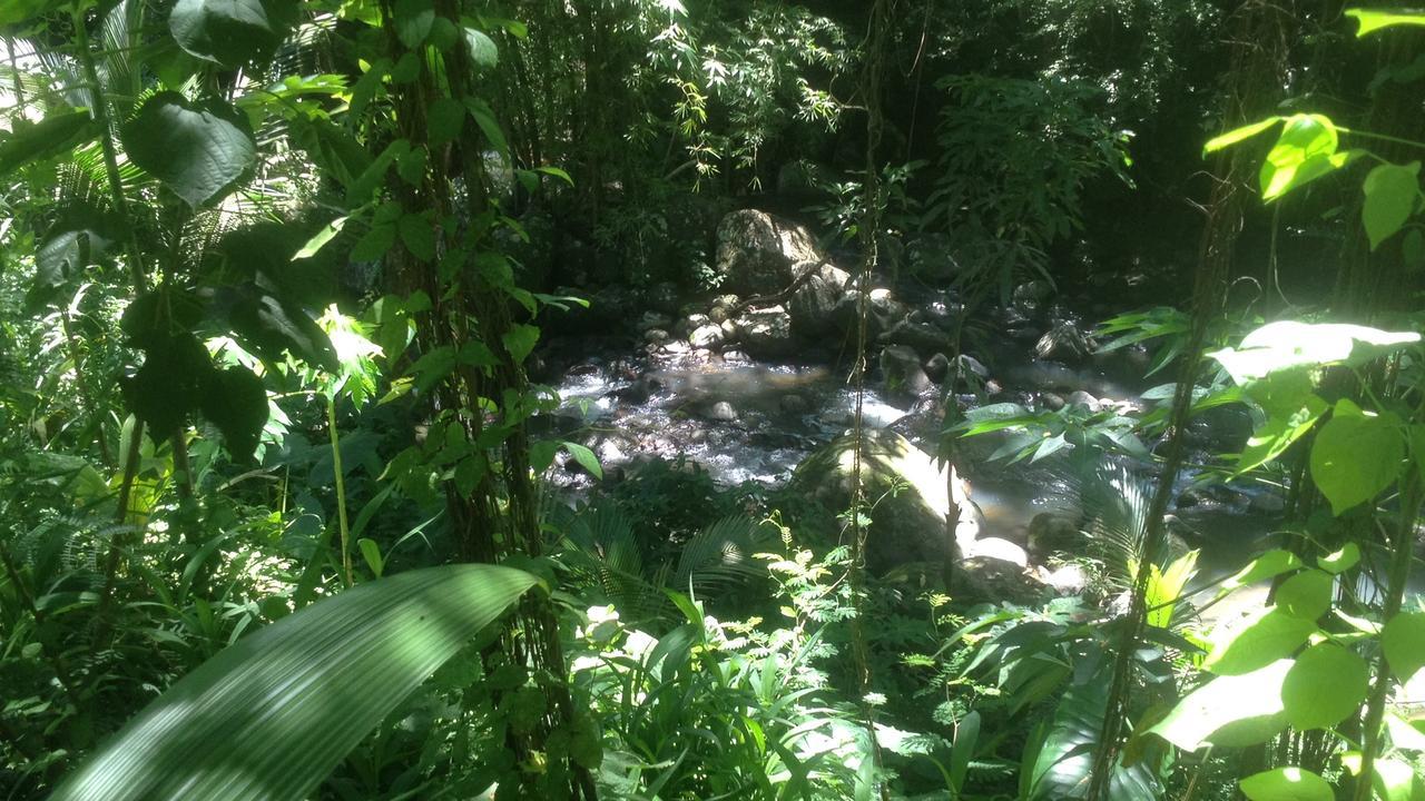 Martinique Treehouse Villa Canton Suisse Luaran gambar