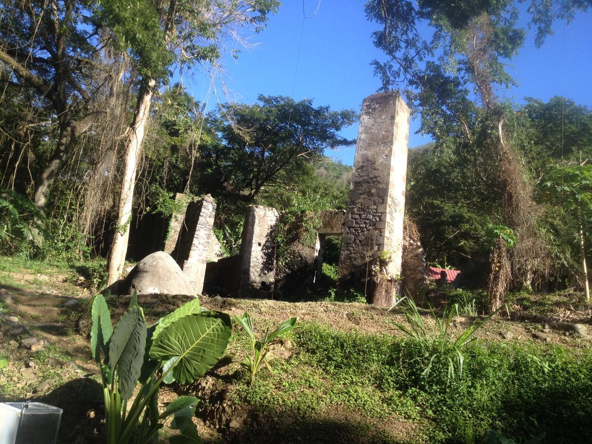 Martinique Treehouse Villa Canton Suisse Luaran gambar