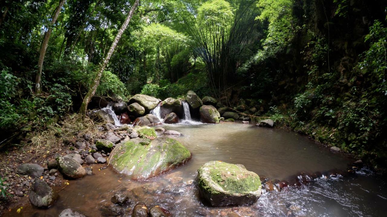 Martinique Treehouse Villa Canton Suisse Luaran gambar